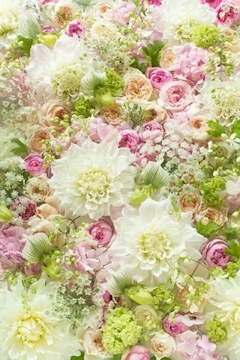 プロフィール写真4・みい｜刈谷 熟女キャバクラ・ルーヴル