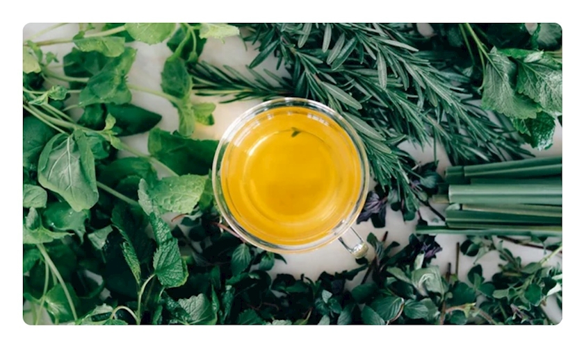 春に飲むならこんな ハーブティー がいい Nyanko Moulin Rouge ムーランルージュ 中洲の熟女キャバクラ ポケパラ