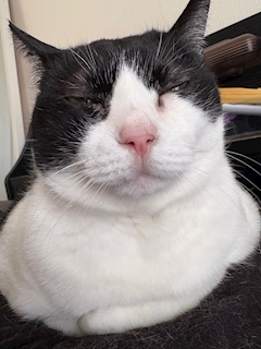 かおり