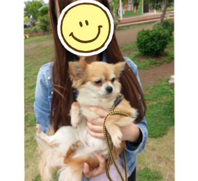 わんこ 朝比奈もえ Leon レオン 郡山駅前 陣屋のクラブ ラウンジ ポケパラ