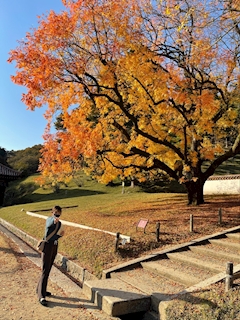 ひかり「🍁」