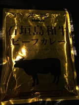 沖縄 石垣島和牛ビーフカレー