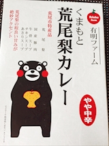 熊本県 荒尾梨カレー