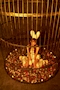 プロフィール写真19・愛乃(まの)🐰ATHENA｜新橋 キャバクラ・アテナ