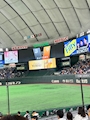 新着ブログ 日曜日