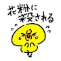 chiko