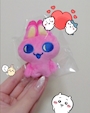 chiko