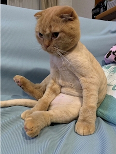 プロフィール写真1・good スタッフ｜CLUB good・グッド - 木屋町のキャバクラ