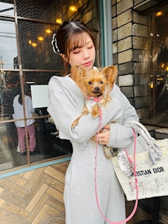 米倉 あやめ「🐶」