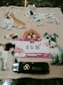 chiko