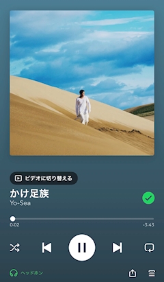 エイミ🌼