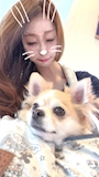 chiko