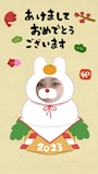chiko