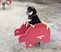 chiko