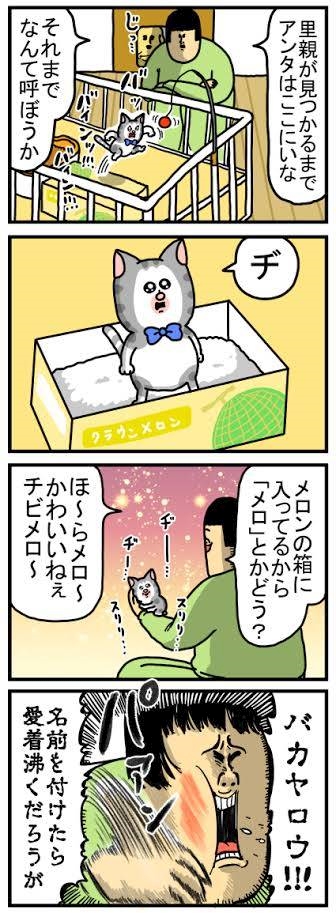 こまちとタビ メロ 星乃なな 錦 キャバクラ Mrs Cafe 離宮 ポケパラ