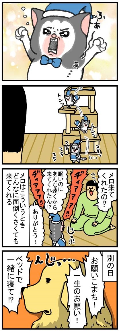 こまちとタビ メロ 星乃なな 錦 キャバクラ Mrs Cafe 離宮 ポケパラ