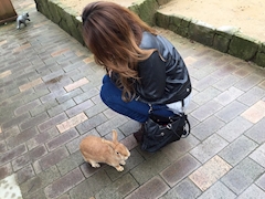 プロフィール写真1・あい｜Club MET・メット - 木屋町のキャバクラ