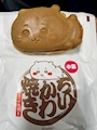 新着ブログ 疲れた