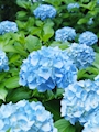 新着ブログ 今日は15時から出勤します😚🏵️☘️