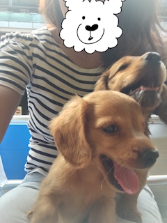 プロフィール写真1・れい｜小田原 キャバクラ・トゥインクルスター