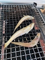 chiko