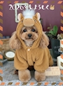 chiko