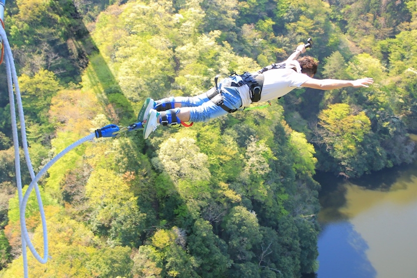 バンジージャンプ ティガー Girl S Bar Muses ミューゼス 町田のガールズバー ポケパラ
