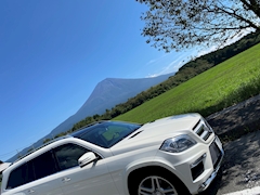 プロフィール写真9・ティガー｜