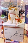 chiko