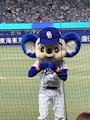 chiko