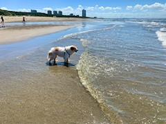 いぶき【池袋チェリッシュ】「わすれもの」