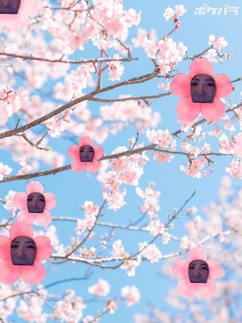 ˚✧🌈🥺₊✧༚みか🍊˚✧₊˳👅🫶✧༚のプロフィール動画