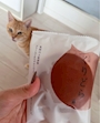 chiko