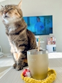 chiko
