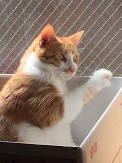 プロフィール写真18・せなママ｜Gio・ジオ - 春日井のスナック