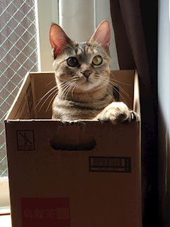 プロフィール写真17・せなママ｜Gio・ジオ - 春日井のスナック