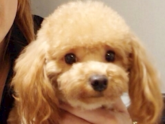 ゆい「私の人生を変えた男の誕生日🎂」