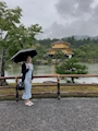 新着ブログ 🟢関西旅～金閣寺～