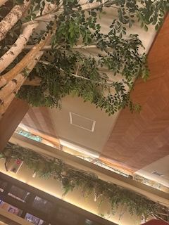 あいり「岩盤浴🧖‍♀️」