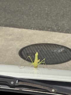 あいり「😳」