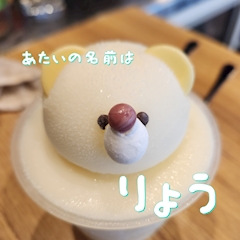 プロフィール写真12・きりしま りょう｜フェスティバル なんば本店 - ミナミのガールズバー