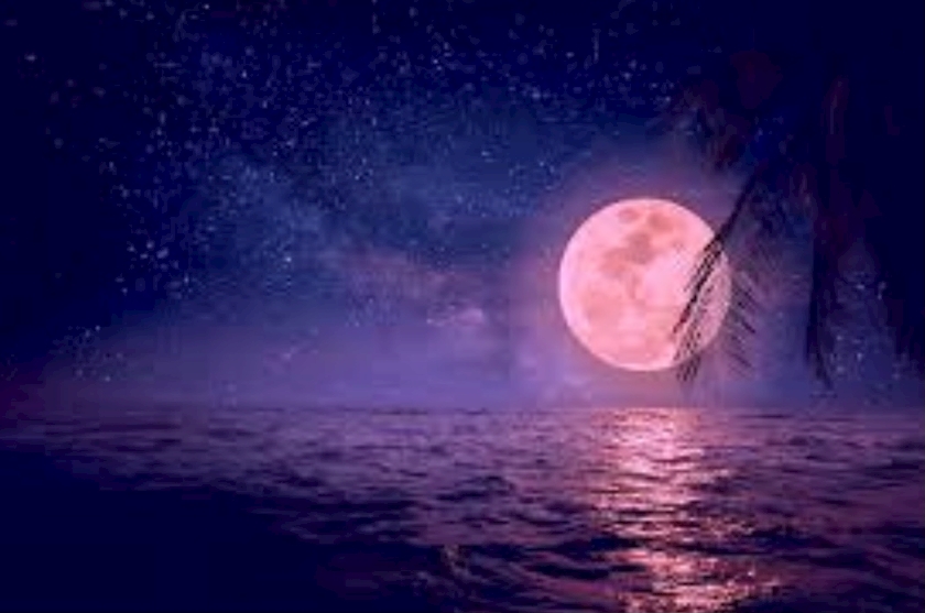 ピンクムーン えみ Athena 新橋 キャバクラ アテナ ポケパラ