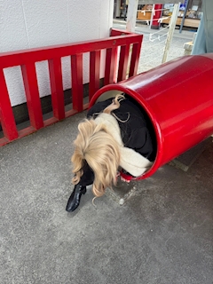 プロフィール写真4・胡桃 なみ｜赤池 ガールズバー・ジェイマックス