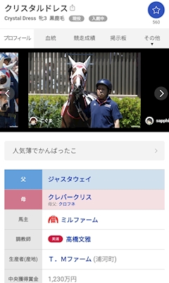 葵❣️🐴Mrs.J上野