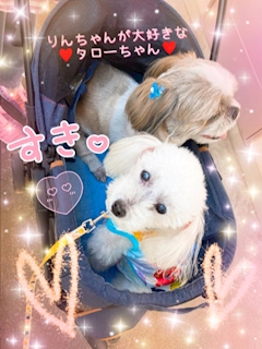 プロフィール写真4・葵❣️🐴Mrs.J上野｜Mrs.J 上野・ミセスジェイ - 上野の熟女パブ/熟女キャバクラ