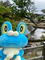 chiko