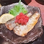新着ブログ 🐙