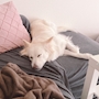 新着ブログ 😴