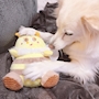 新着ブログ 🐝