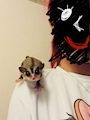 chiko